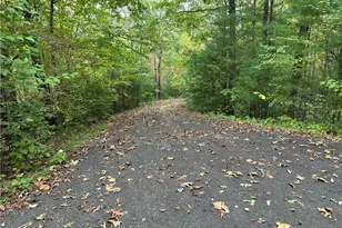 0000 Timber Ridge Rd, Ferguson, NC 28624 - Photo 1