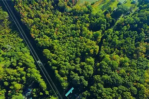 6496 Thompson Road Ext, Archdale, NC 27263 - Photo 1