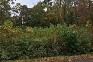 1010 High Rock Shores Dr, Lexington, NC 27292 - Photo 1