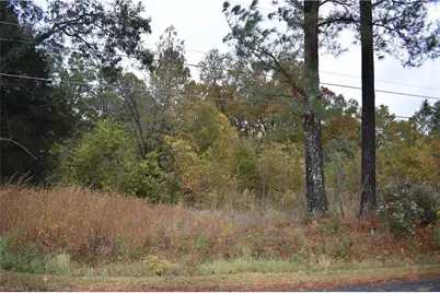 Lot 29 Darr Road, Trinity, NC 27370 - Photo 1