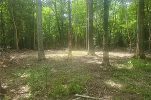 0 Osborn Mill Rd, Seagrove, NC 27341 - Photo 1