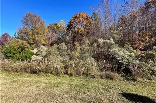 0 Hughes Farm Rd, Archdale, NC 27263 - Photo 1