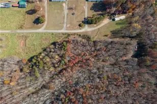 2725 Wilkes Ln, Pilot Mountain, NC 27041 - Photo 1