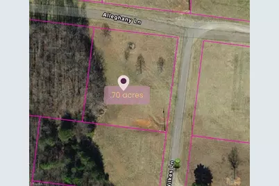 3002 Alleghany Lane, Pilot Mountain, NC 27041 - Photo 1