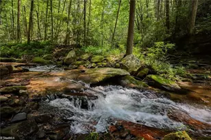 1612 Fall Creek Rd, Purlear, NC 28665 - Photo 1