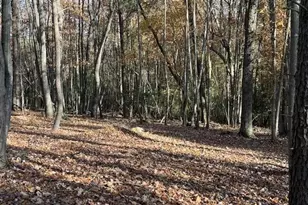 00 Billings Hill Church Rd, Traphill, NC 28685 - Photo 1