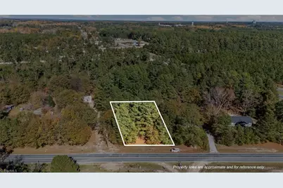 Vacant McCallum Road, Candor, NC 27229 - Photo 1