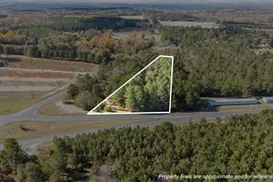 Vacant US Hwy 220 Alt N, Candor, NC 27229 - Photo 1