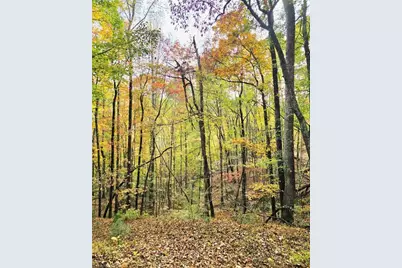 000 Rock Creek Road, North Wilkesboro, NC 28659 - Photo 1