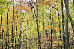 000 Rock Creek Rd, North Wilkesboro, NC 28659 - Photo 1