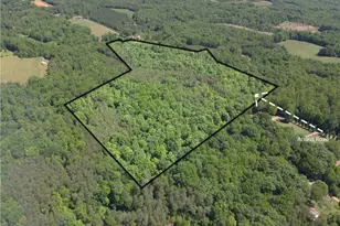 3131 Zz Huffine Mill Rd, Gibsonville, NC 27249 - Photo 1