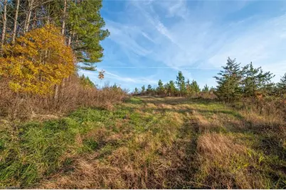 00 Lady Mary Road, Stoneville, NC 27048 - Photo 1