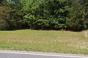 3917 E Nc Hwy 150, Browns Summit, NC 27214 - Photo 1