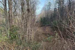 00 Longbottom Rd, McGrady, NC 28649 - Photo 1