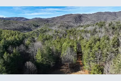 Tbd Big Ivy Road, Purlear, NC 28665 - Photo 1