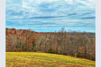 0 Pearson Road, Moravian Falls, NC 28654 - Photo 1