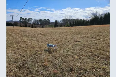 00 Volunteer Road #3, Pinnacle, NC 27043 - Photo 1