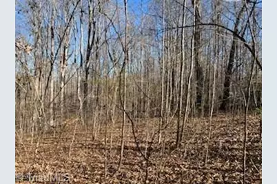 3633 Shacktown Road, Yadkinville, NC 27055 - Photo 1