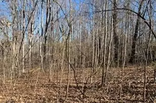 3633 Shacktown Rd, Yadkinville, NC 27055 - Photo 1