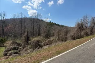 Tbd Old Mill Rd, Lowgap, NC 27024 - Photo 1