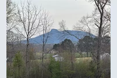 166 Springfield Road, Pilot Mountain, NC 27041 - Photo 1