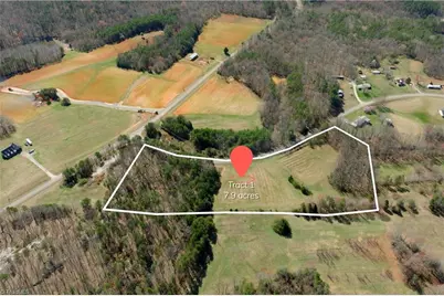 0 Flat Rock Road, Pinnacle, NC 27043 - Photo 1
