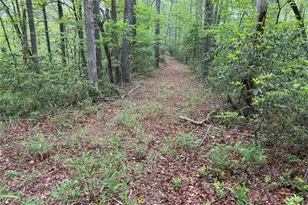 Tbd West Ridge Rd, Ferguson, NC 28624 - Photo 1