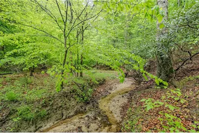 Tbd Splendor Lane, Mount Airy, NC 27030 - Photo 1