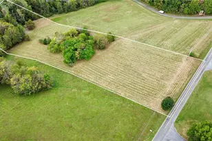 310 Jessup Grove Church Rd, Pilot Mountain, NC 27041 - Photo 1