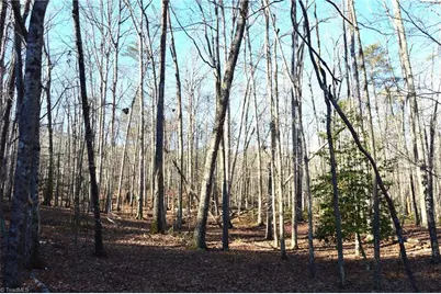 1010-1372 Hanging Rock Park Road, Danbury, NC 27016 - Photo 1