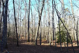 1010-1372 Hanging Rock Park Rd, Danbury, NC 27016 - Photo 1