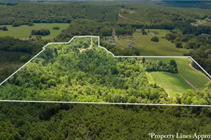 467 Crousetown Rd, Lexington, NC 27292 - Photo 1
