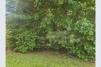 Lot 1 Ashland Lane, Wilkesboro, NC 28697 - Photo 1