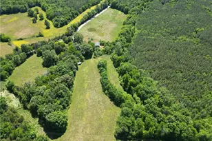 7875 Antioch Church Rd, Seagrove, NC 27341 - Photo 1
