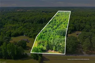 0 White Level Rd, Mebane, NC 27302 - Photo 1