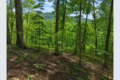 0 Sheppard Mill Road, Danbury, NC 27016 - Photo 1