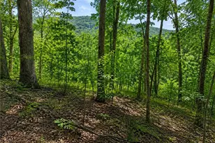 0 Sheppard Mill Rd, Danbury, NC 27016 - Photo 1