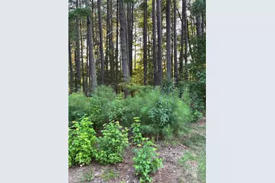 4612 Bentford Road, Greensboro, NC 27406 - Photo 1