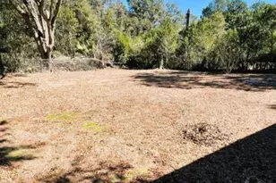 1165 Webster Dr, Pensacola, FL 32505 - Photo 16