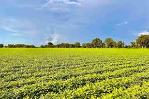 3500 Hwy 182, Jay, FL 32565 - Photo 1