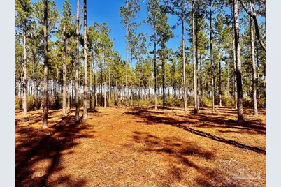 Lot 1 Denali Rd, Jay, FL 32565 - Photo 2