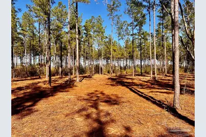 Lot 1 Denali Rd, Jay, FL 32565 - Photo 18