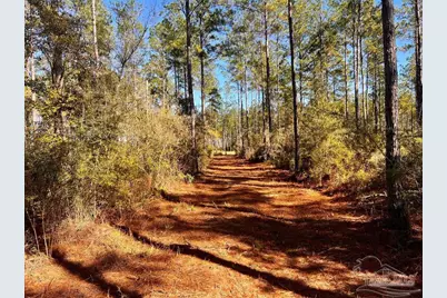 Lot 1 Denali Rd, Jay, FL 32565 - Photo 14