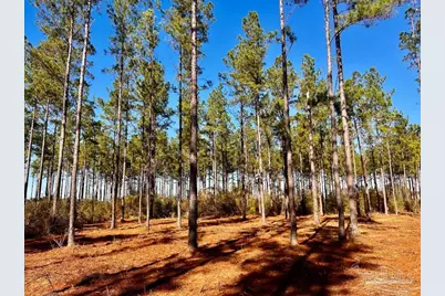 Lot 1 Denali Rd, Jay, FL 32565 - Photo 16