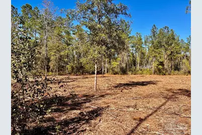 Lot 2 Denali Rd, Jay, FL 32565 - Photo 14