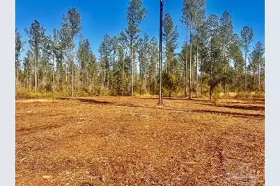 Lot 5 Denali Rd, Jay, FL 32565 - Photo 12