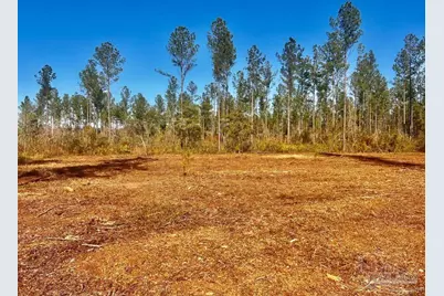 Lot 5 Denali Rd, Jay, FL 32565 - Photo 14