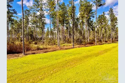 Lot 5 Denali Rd, Jay, FL 32565 - Photo 1