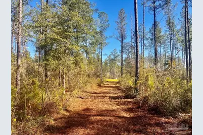 Lot 5 Denali Rd, Jay, FL 32565 - Photo 22