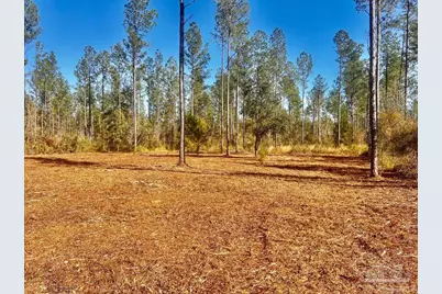 Lot 5 Denali Rd, Jay, FL 32565 - Photo 2